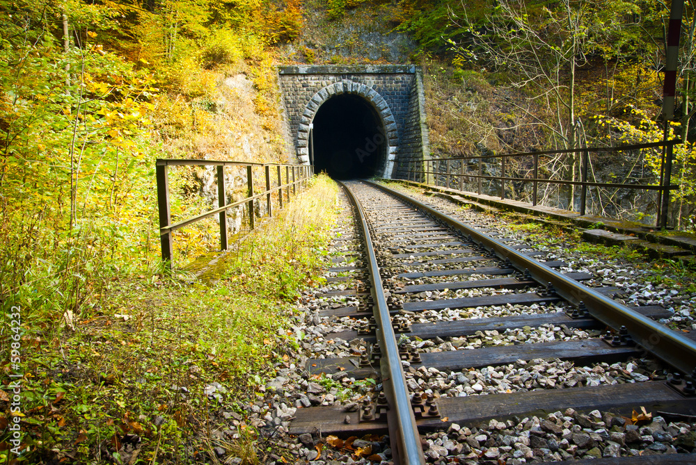 Fototapeta premium Stary ceglany tunel w górach jesienią