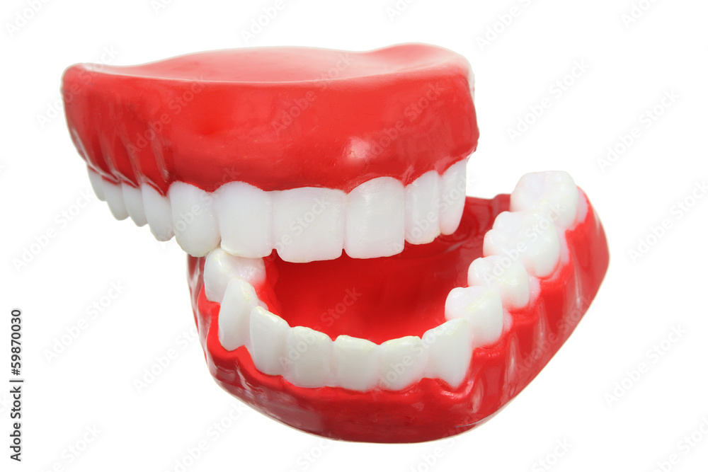 Obraz premium Fake Teeth