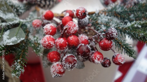 red berry decoration © B747