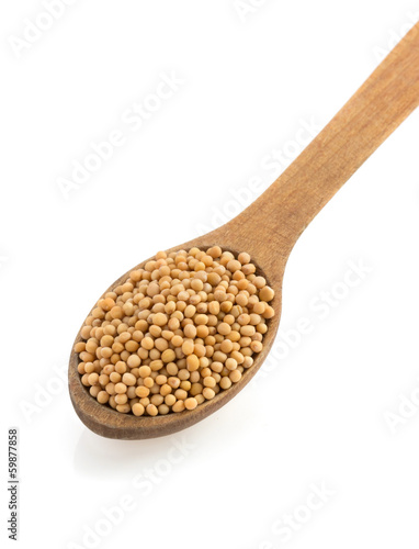 mustard spices and spoon on white