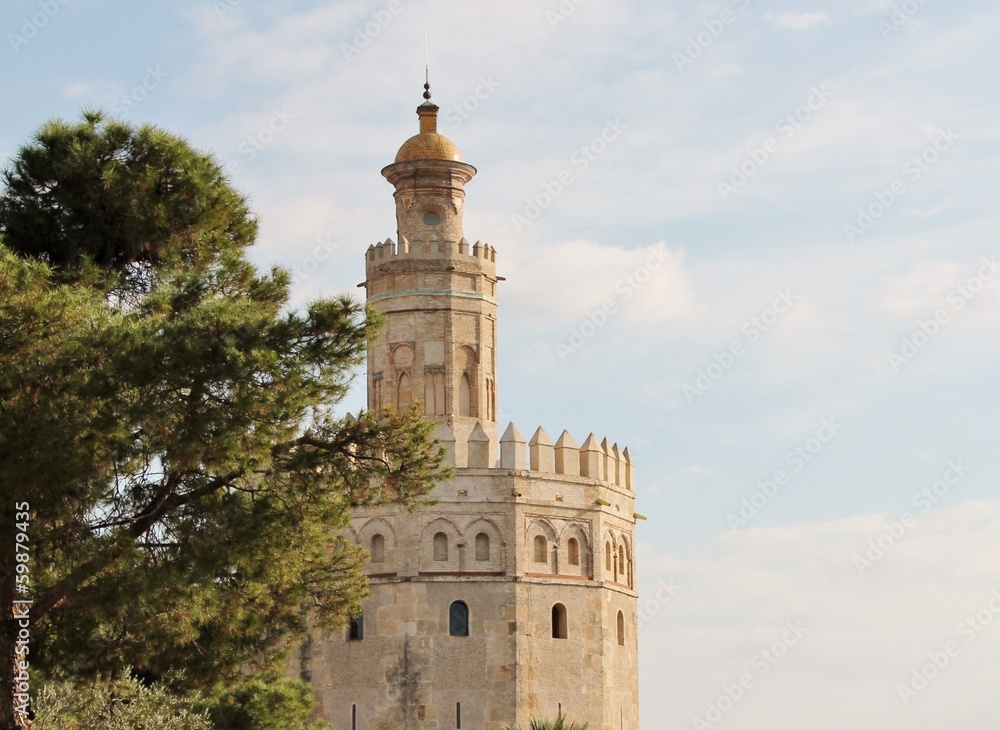 Torre del Oro, Golden Tower in Sevilla Seville Andalusia stock, photo, photograph, image, picture, 