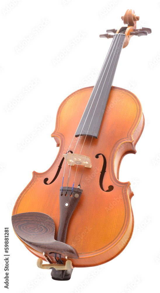 Fototapeta premium violin under the white background