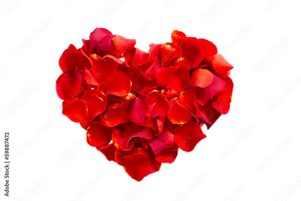 Rose Heart Rose Heart
