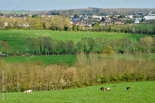 landscape of thury harcourt in normandie photo