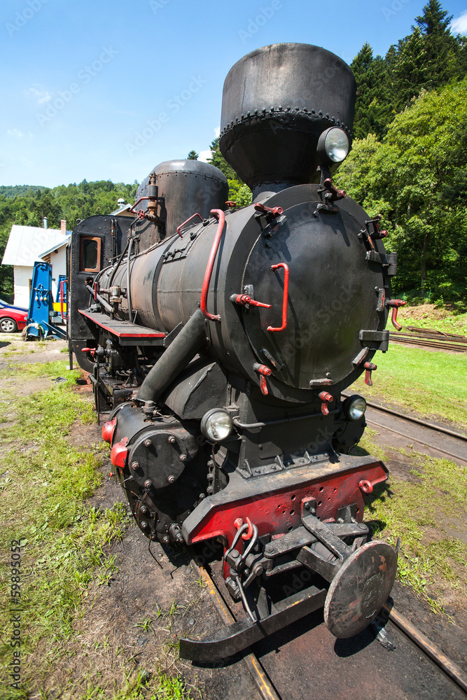 Obraz premium Narrow-gauge railway, steam train in Cisna, Poland