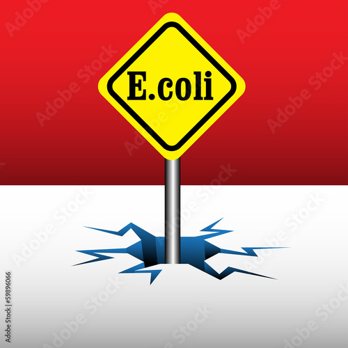 E coli plate
