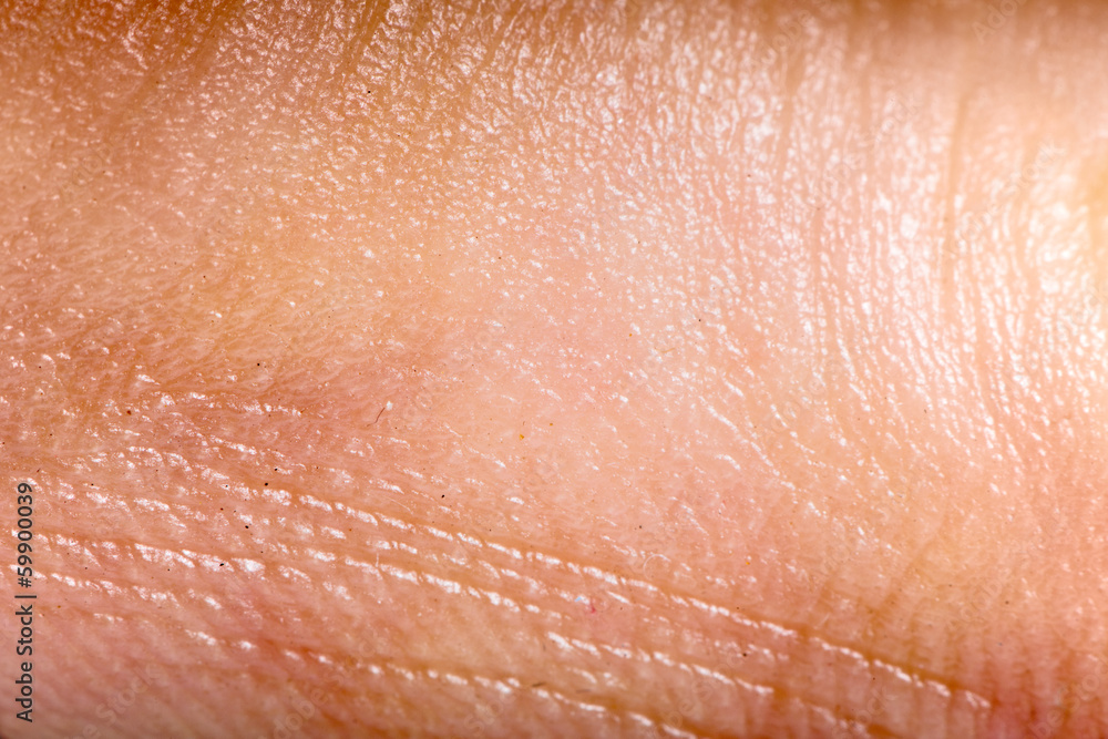 Close up human skin. Macro epidermis Close up human skin. Macro epidermis