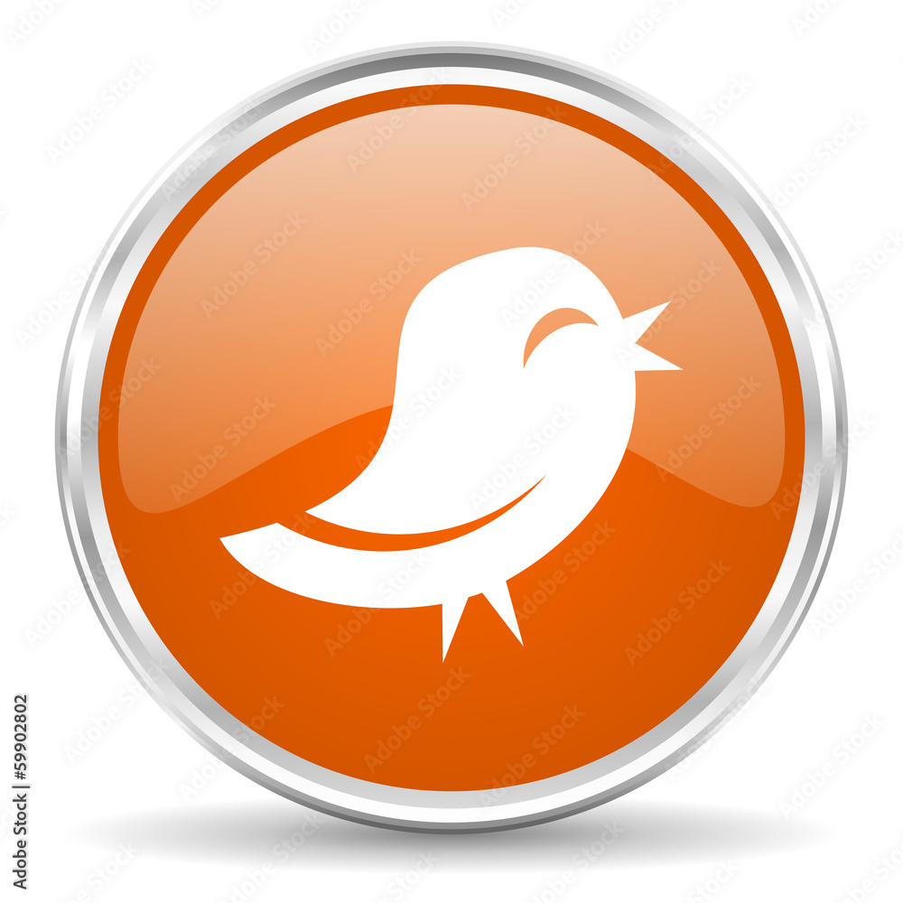 twitter icon twitter icon