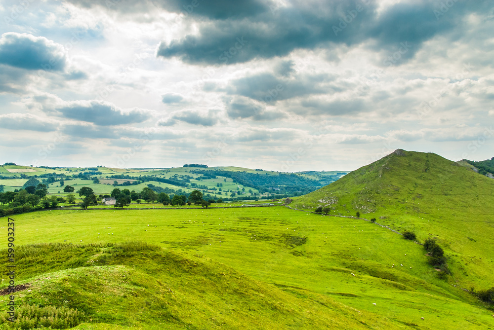 Fototapeta premium Idyllic hillside view on a sunny day