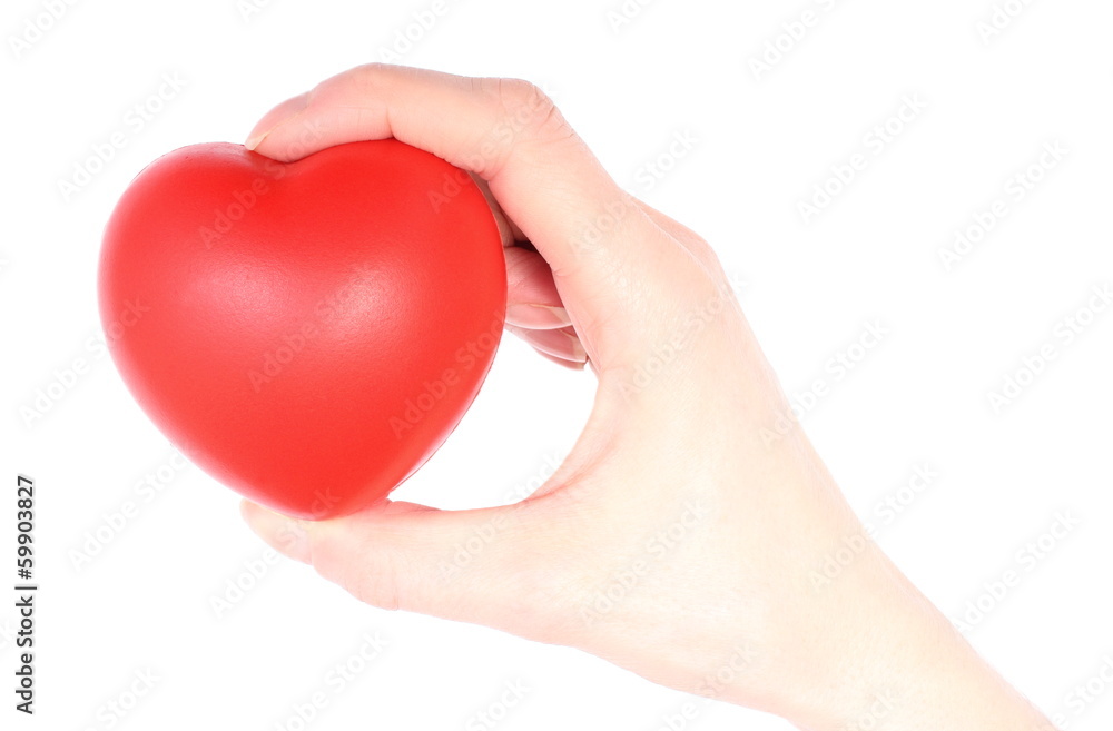 Hand of woman holding red heart. White background