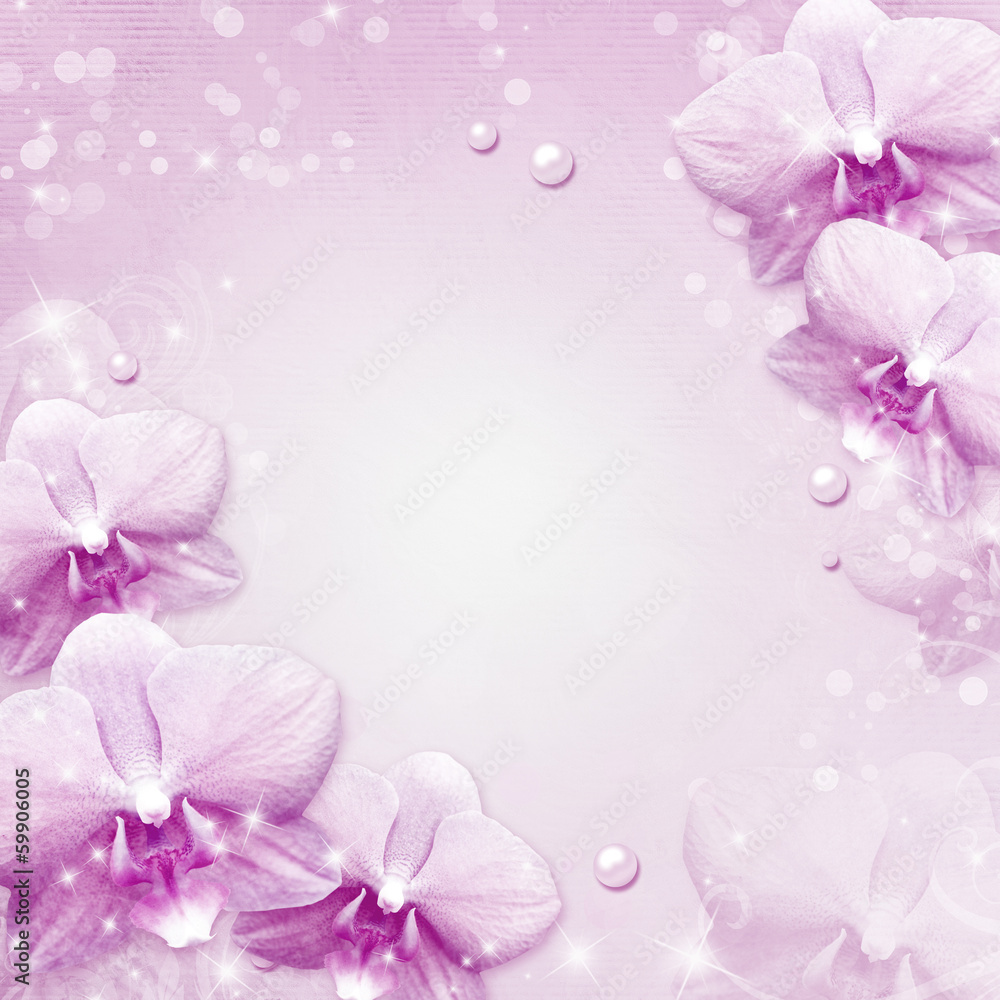 orchids border orchids border