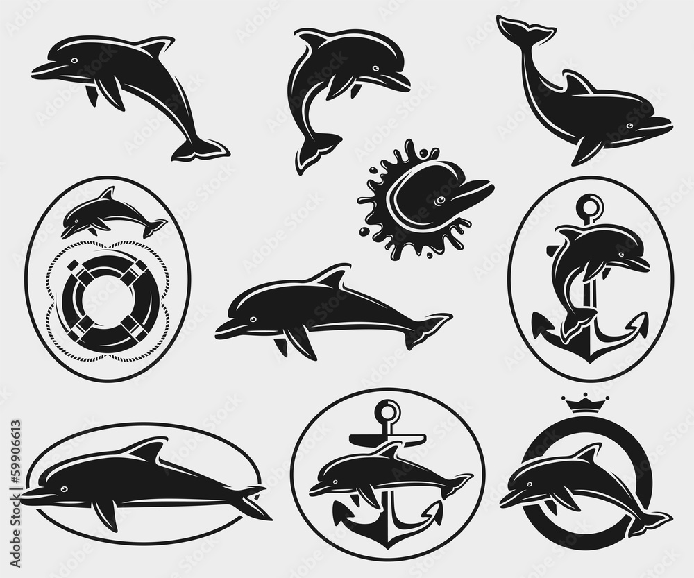 Obraz premium Dolphins set. Vector