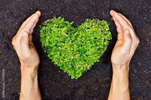 Foto hands holding green heart shaped tree