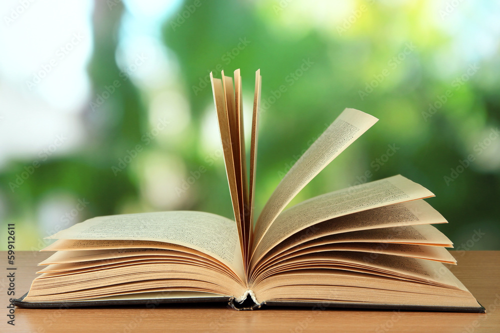 Opened book on bright background Opened book on bright background