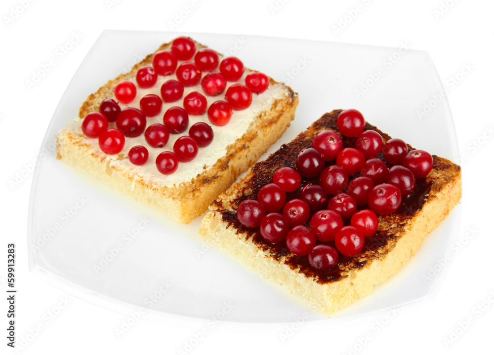 Delicious toast with cranberries isolated on white Delicious toast with cranberries isolated on white