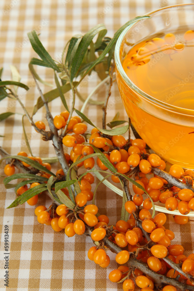 Branches of sea buckthorn with tea on fabric background Branches of sea buckthorn with tea on fabric background