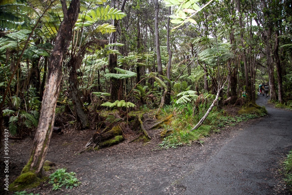 Fototapeta premium Hawaii - Big Island - Kilauea