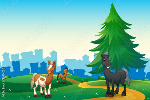 Three horses at the hilltop across the village