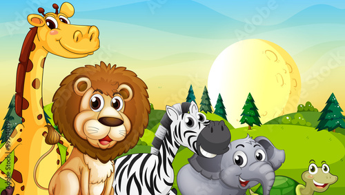 Animals at the hilltop with pine trees