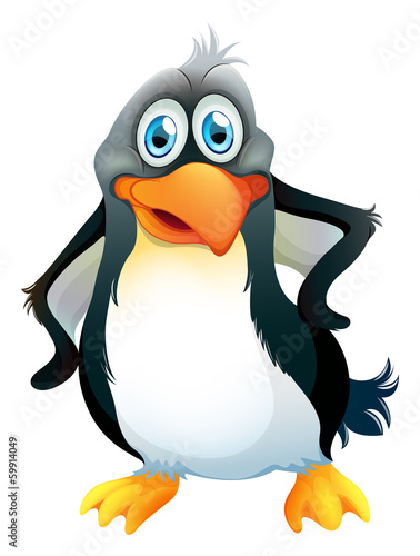 A penguin