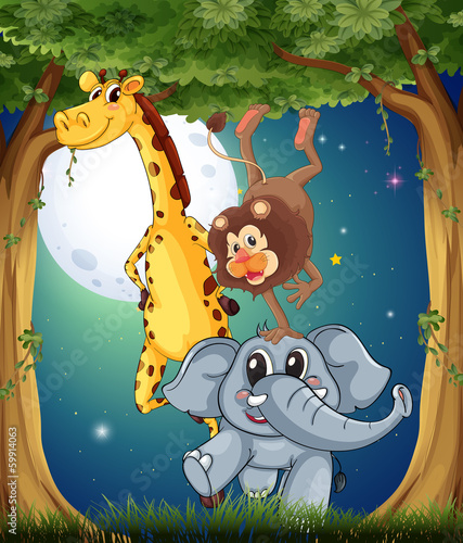 Three playful animals in the forest under the bright fullmoon