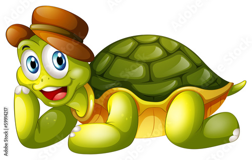 A smiling turtle lying down