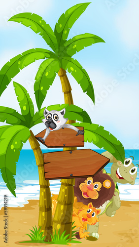 Wild animals at the beach with arrowboards