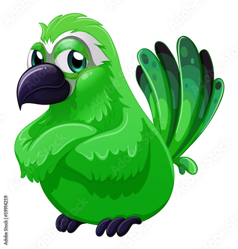 A scary green bird
