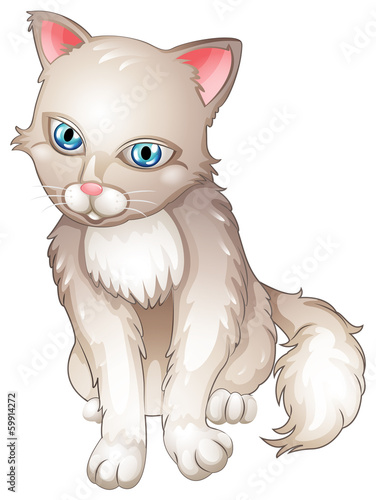 A sad cat