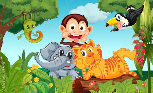 Five animals at the forest