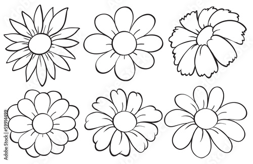 Flowers in doodle design