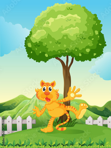 A playful tiger under the tree at the hilltop