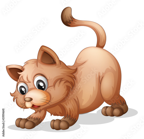 A brown cat