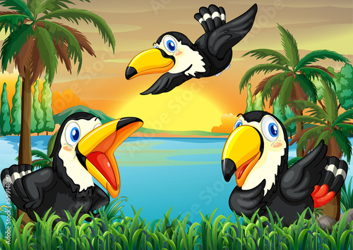 Three wild birds near the river