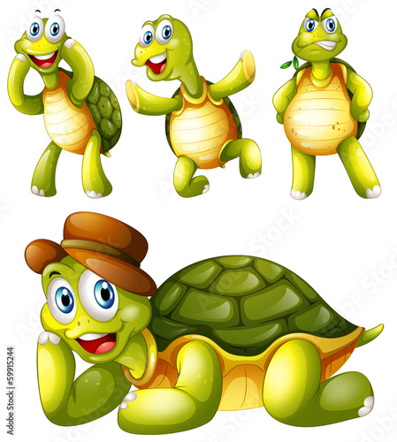 Fototapeta Naklejka Na Ścianę i Meble -  Four playful turtles