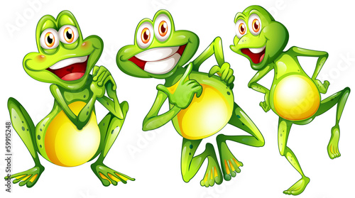 Photo Three smiling frogs
