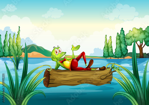 A playful frog lying above the trunk that is floating