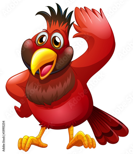 A red bird