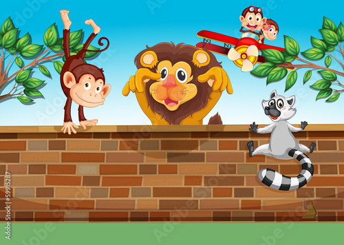 Fototapeta Naklejka Na Ścianę i Meble -  Animals playing at the gated backyard