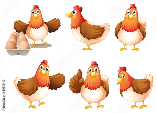 Six fat hens