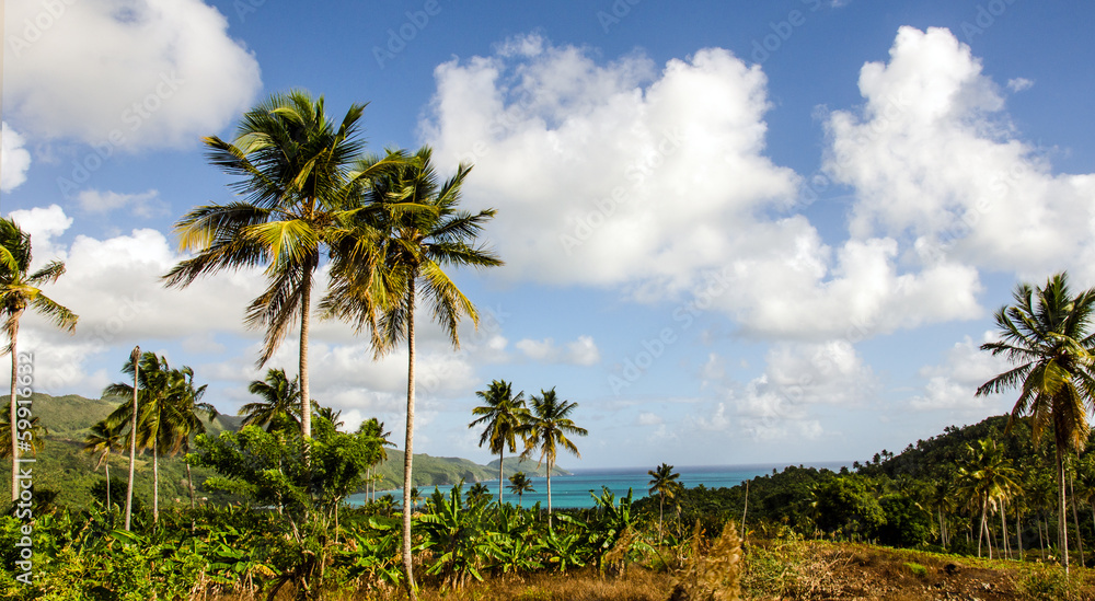 Caribbean: Lonely beautiful beach on Samana :)