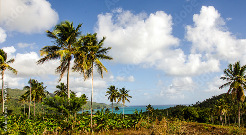Caribbean: Lonely beautiful beach on Samana :) © doris oberfrank-list