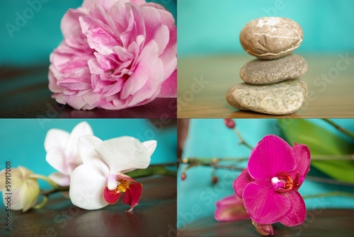 Orchideen und Meditation