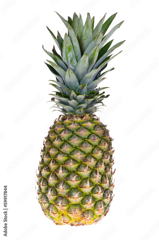 Fototapeta premium pineapple