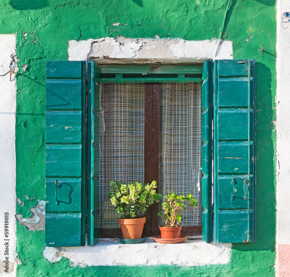 Naklejka premium green window