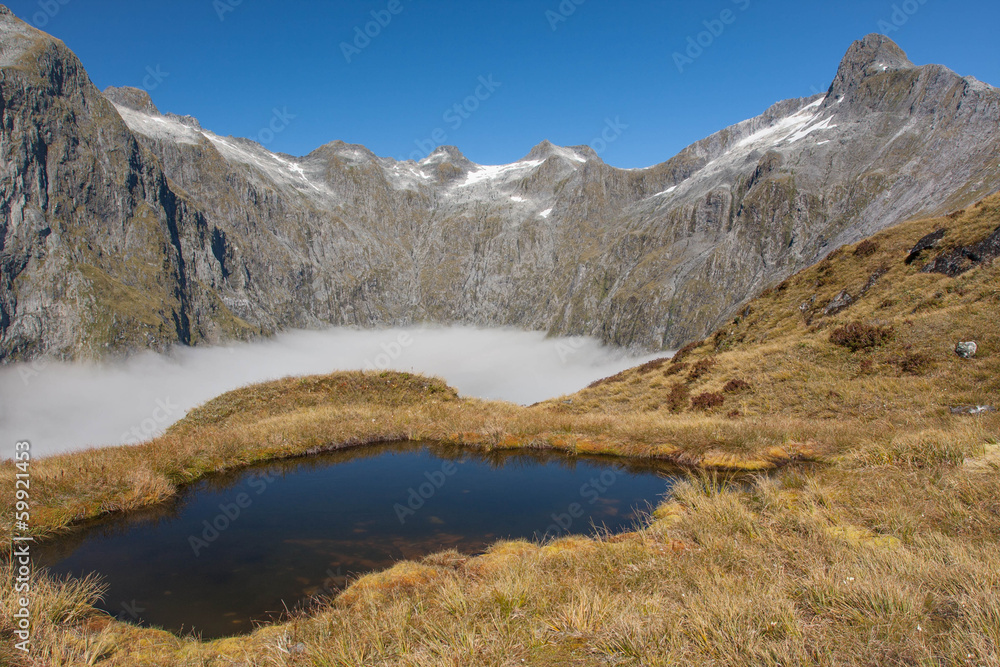 Mackinnon pass - Milford track