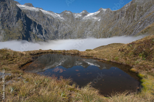 Milford track photo