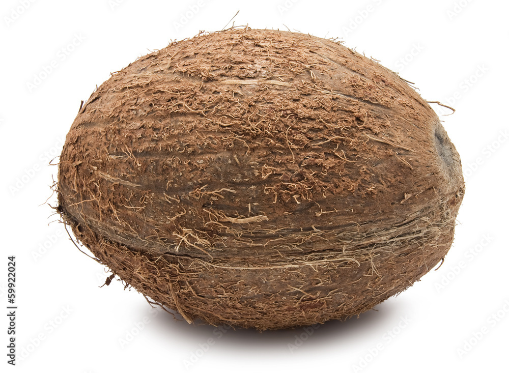 Coconut Coconut