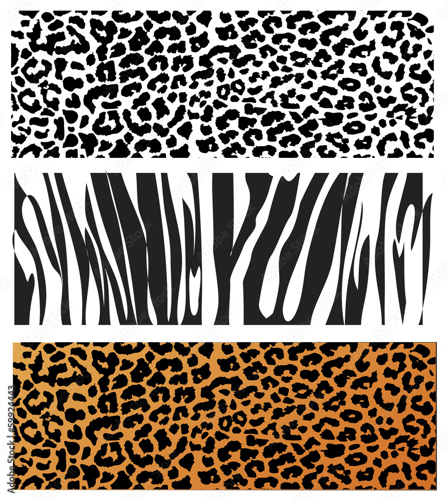 Fototapeta premium Animal Skin Pattern set of leopard zebra, panter