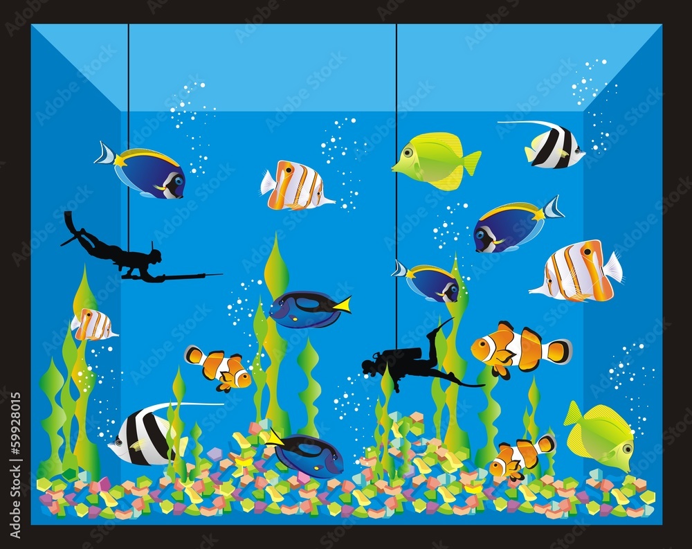 Obraz premium Acuario_4